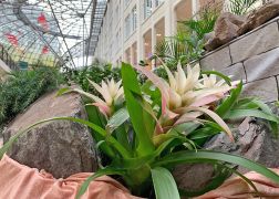 Fruehling In Der Goethe Galerie Jena 00004